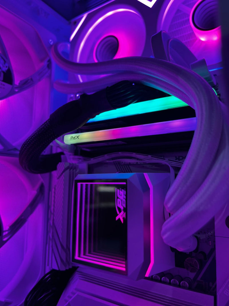 Galería 1